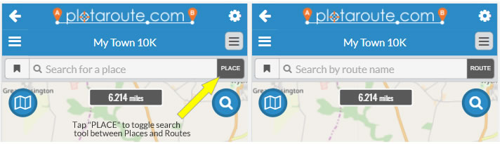 Toggle between Place and Route search